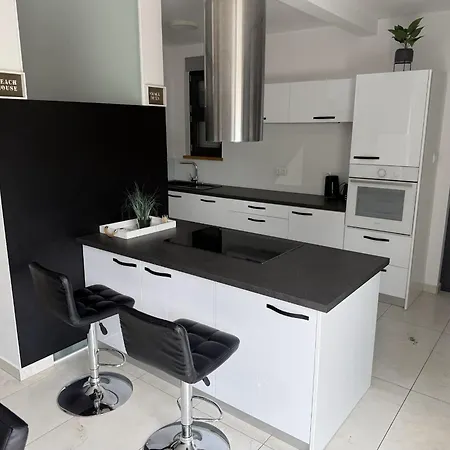 Apartament House Art *